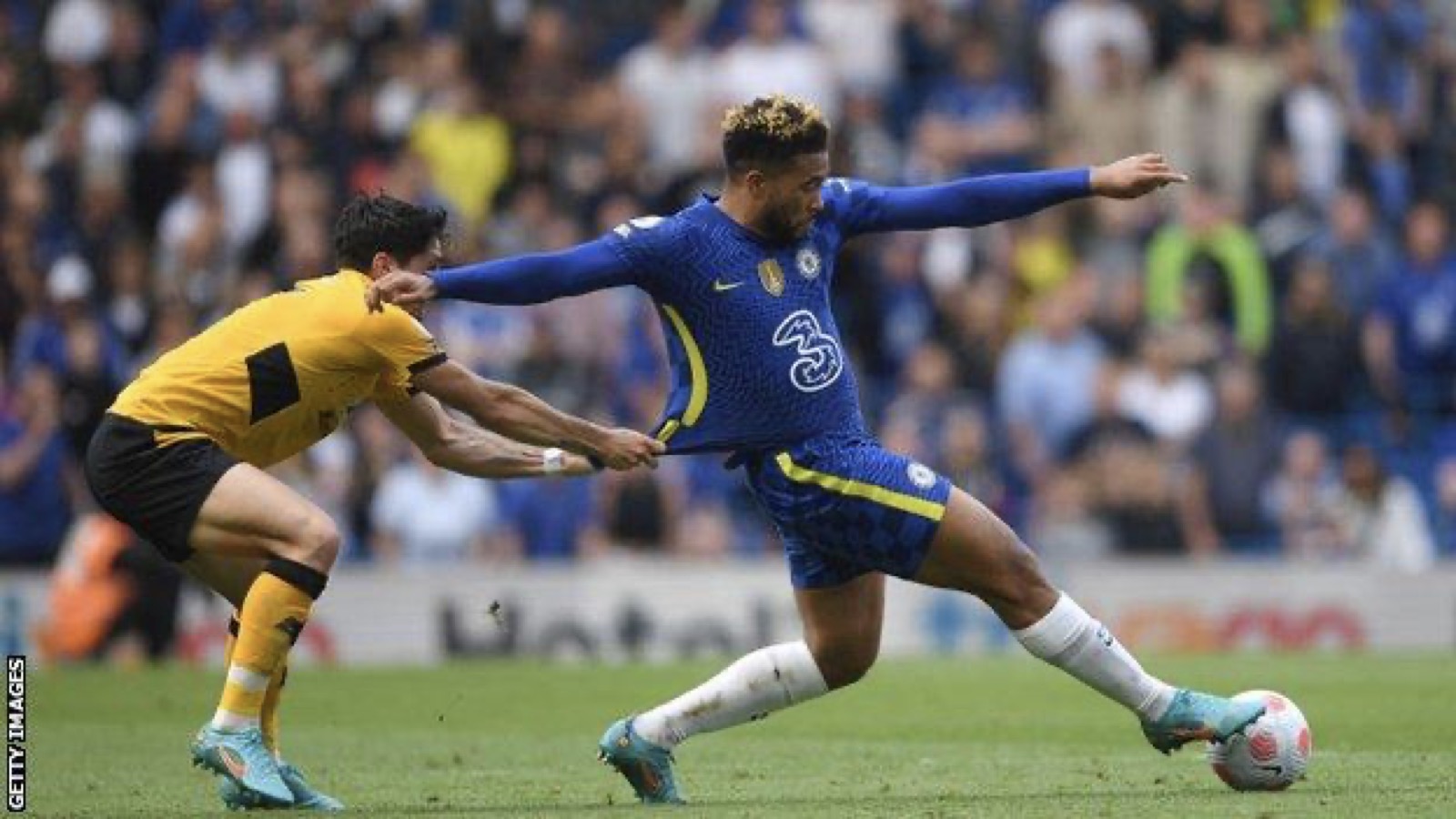 Và họ cũng mang những giá trị đặc biệt