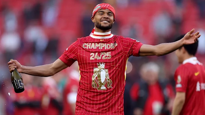 Thành công của cầu thủ Cody Gakpo tại Liverpool chỉ là sự khởi đầu